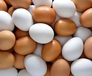 خواص شگفت انگیز تخم مرغ!