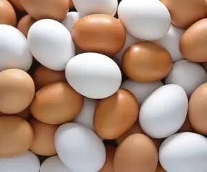 خواص شگفت انگیز تخم مرغ!