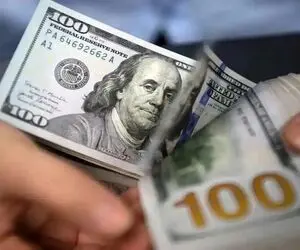 قیمت دلار امروز ۶ آبان ۱۴۰۳ / دلار افت می کند؟