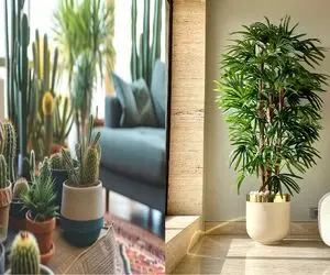 دیزاین پذیرایی با گلدان / ترفندایی برای چینش که کمتر کسی بلده