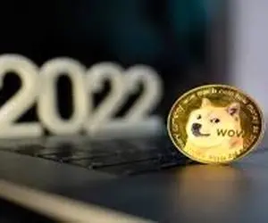 دوج کوین تا مرز نابودی میره؟!