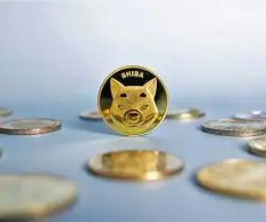 نهنگ تازه وارد شیبا غوغا به پاکرد؟