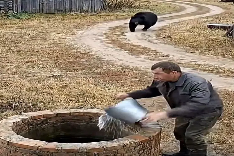 معماری طبیعت؛ مرد بین تیکه پاره شدن تو دهن خرس و راه دوم، راه دوم رو انتخاب کرد