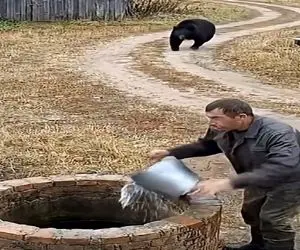 معماری طبیعت؛ مرد بین تیکه پاره شدن تو دهن خرس و راه دوم، راه دوم رو انتخاب کرد