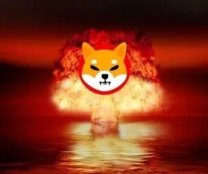 حماسه ای غیرمنتظره شیبااینو!!