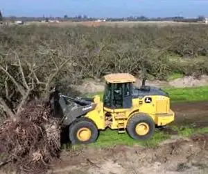 ابزارآلات غول پیکر؛ بیل مکانیکی غول آوردن آش و با جاش میکنه جنگل بیابون شه