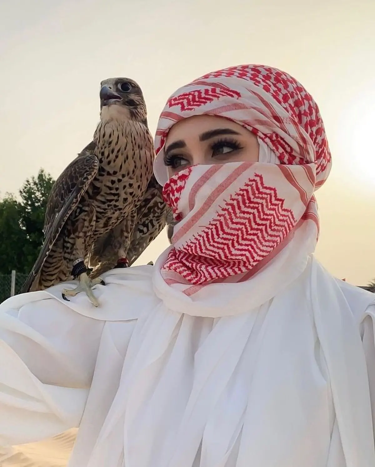 زنان عرب