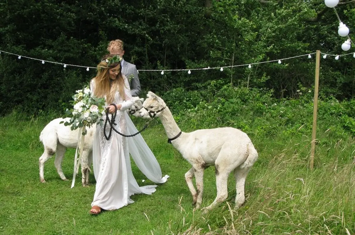 Scraptoftwedding16