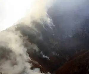 گزارش تازه استاندار مازندران از آتش‌سوزی الیت؛ ۸ هکتار خسارت دید