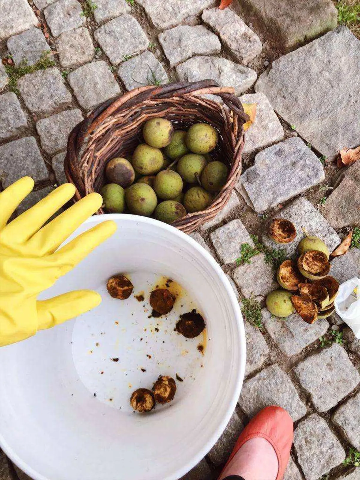 How-to-Remove-Walnut-Stains-From-Skin-02