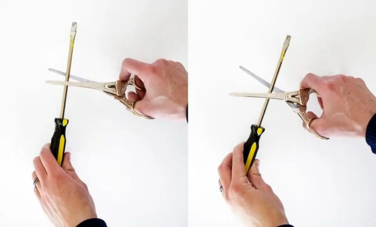 شششش-709x430-1-1024x621