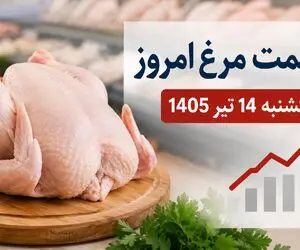 قیمت مرغ امروز یکشنبه ۱۴ تیر ۱۴۰۵ + جدول