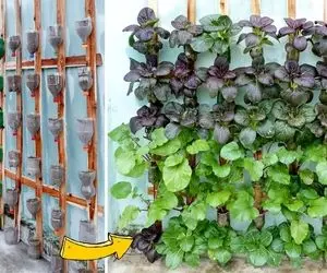 ایده های خلاقانه؛ دیگه نیازی به باغچه نیست روی دیوار سبزی بکار هم خوشگل هم کاربردی