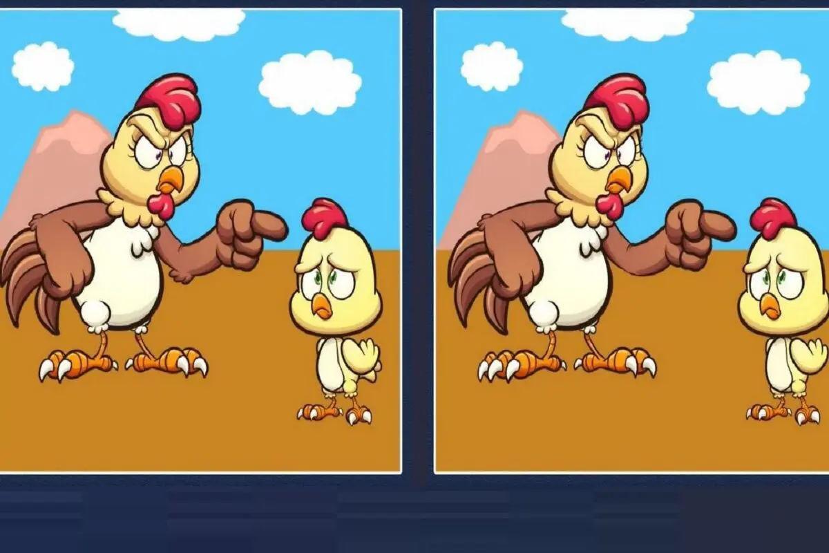 جوجه