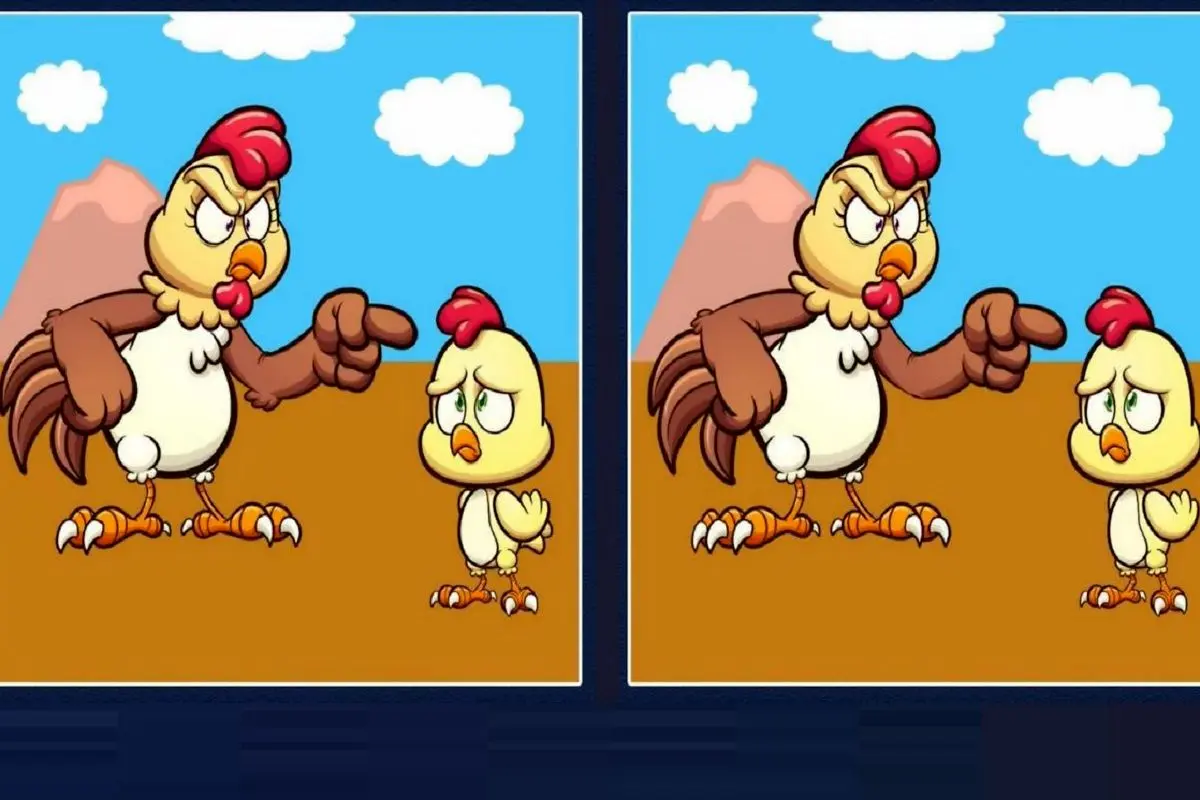 جوجه