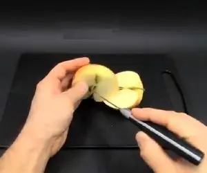 کشاورزی خلاقانه؛ از یه هسته سیب محصولی به عمل میاره که هاج و واج میمونی 