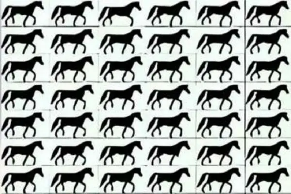 بازی فکری؛ باید تیز و بز باشی بتونی همه رو جان به جان کنی و سه تا اسب متفاوت پیدا کن