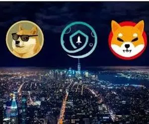 دوج کوین و شیبااینو به عجیب ترین ها دست یافتند؟