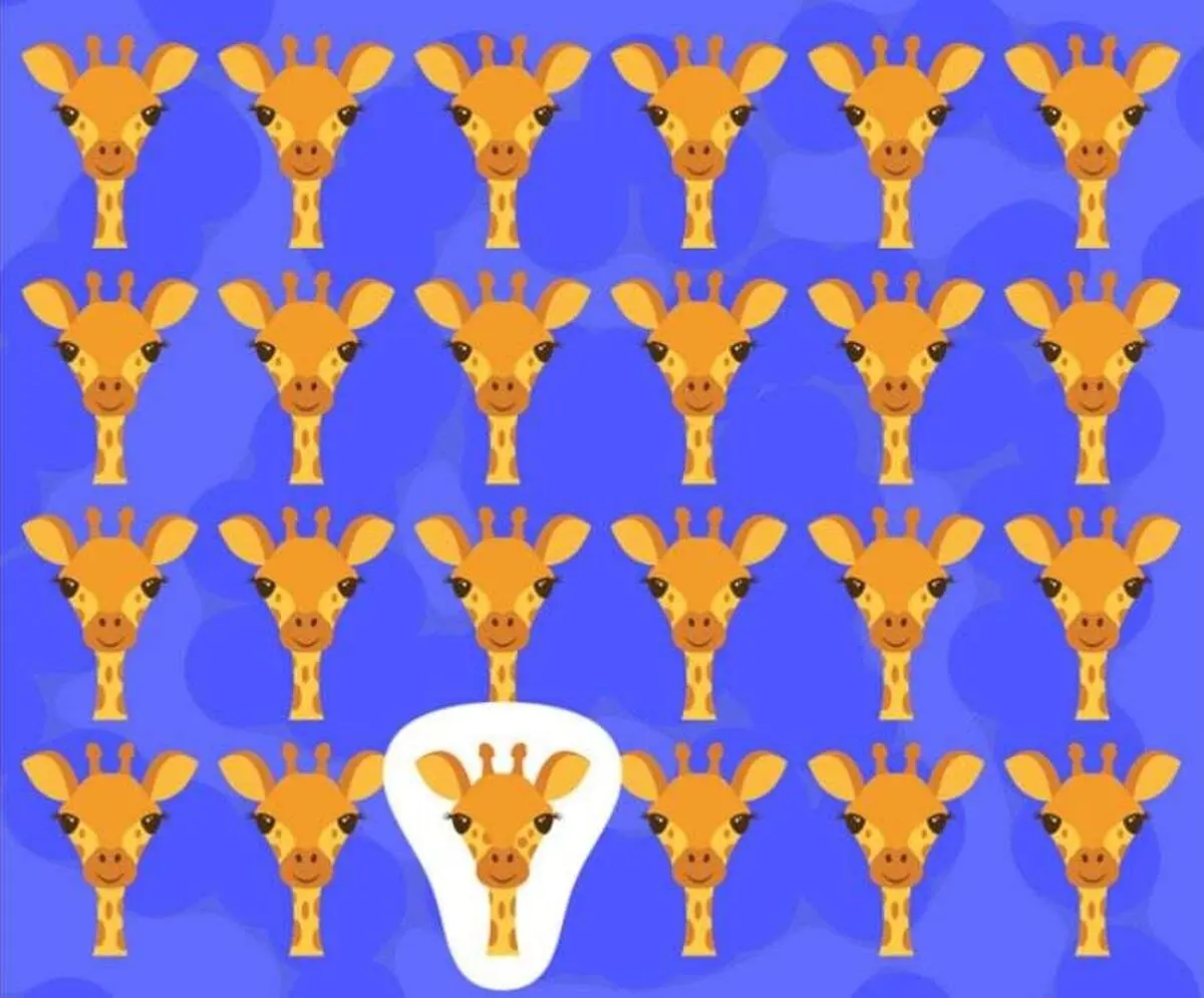 زرافع