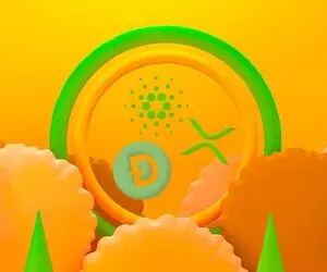 دوج کوین و همکارانش رکورد زدند و چه گلی کاشتند؟!