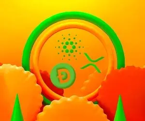 دوج کوین و همکارانش رکورد زدند و چه گلی کاشتند؟!