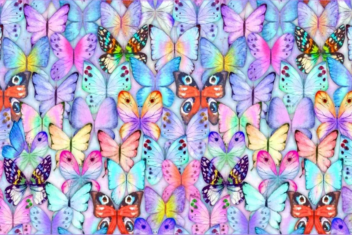 تست-بینایی-یافتن-ستاره-دریایی-ماهی-ها-1