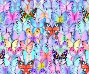 بازی فکری؛ ادعای تیزبینیت زمین و زمانو بهم دوخته؟ بگو پروانه متفاوت کجای تصویره