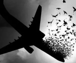 نقل قول تاسف برانگیز مطهری از همسر خلبان اوکراینی