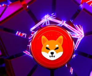 حماسه شگفت آورشیبااینو؛خریدیا فروش؟