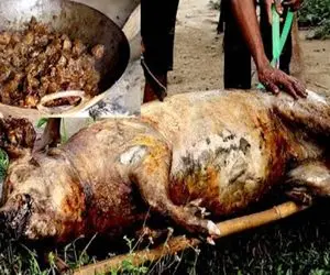 فراوری خوک؛ خوک سیاه رو انداختن تو آتیش کز خورد بعد مرینیت اسلایس و سرخش کرد