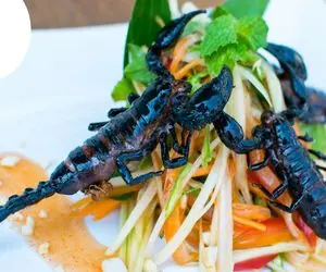 فرآوری عقرب؛ نصف عقربارو بعد پرورش تبدیل به دارو میکنن نصف دیگه رو هم زنده سرخ میکنن