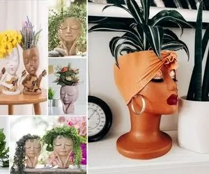 گیاهان آپارتمانی در خانه های 1403 / منظور خونه گلاست که انقدر ناناس و شیکول شدن