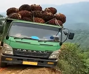 معماری طبیعت؛ خاور پاشو از گلیمش درازتر کرد