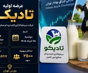 عرضه اولیه تادیکو چقدر نقدینگی می خواهد؟+ جزئیات