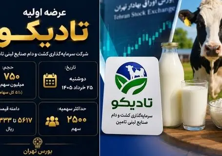عرضه اولیه تادیکو چقدر نقدینگی می خواهد؟+ جزئیات