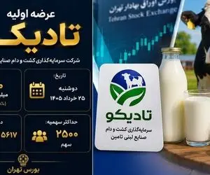 عرضه اولیه تادیکو چقدر نقدینگی می خواهد؟+ جزئیات