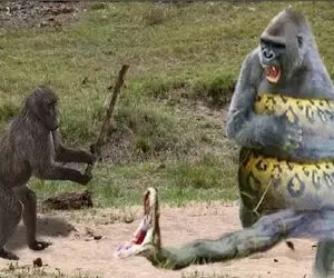 مستند حیات وحش؛ نبرد خلاقانه زور و سم میان گوریل و پیتون غول