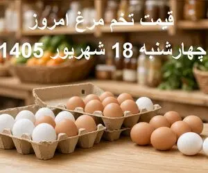 قیمت تخم مرغ امروز 18 شهریور 1405؛ تخم مرغ شانه‌ای چند؟