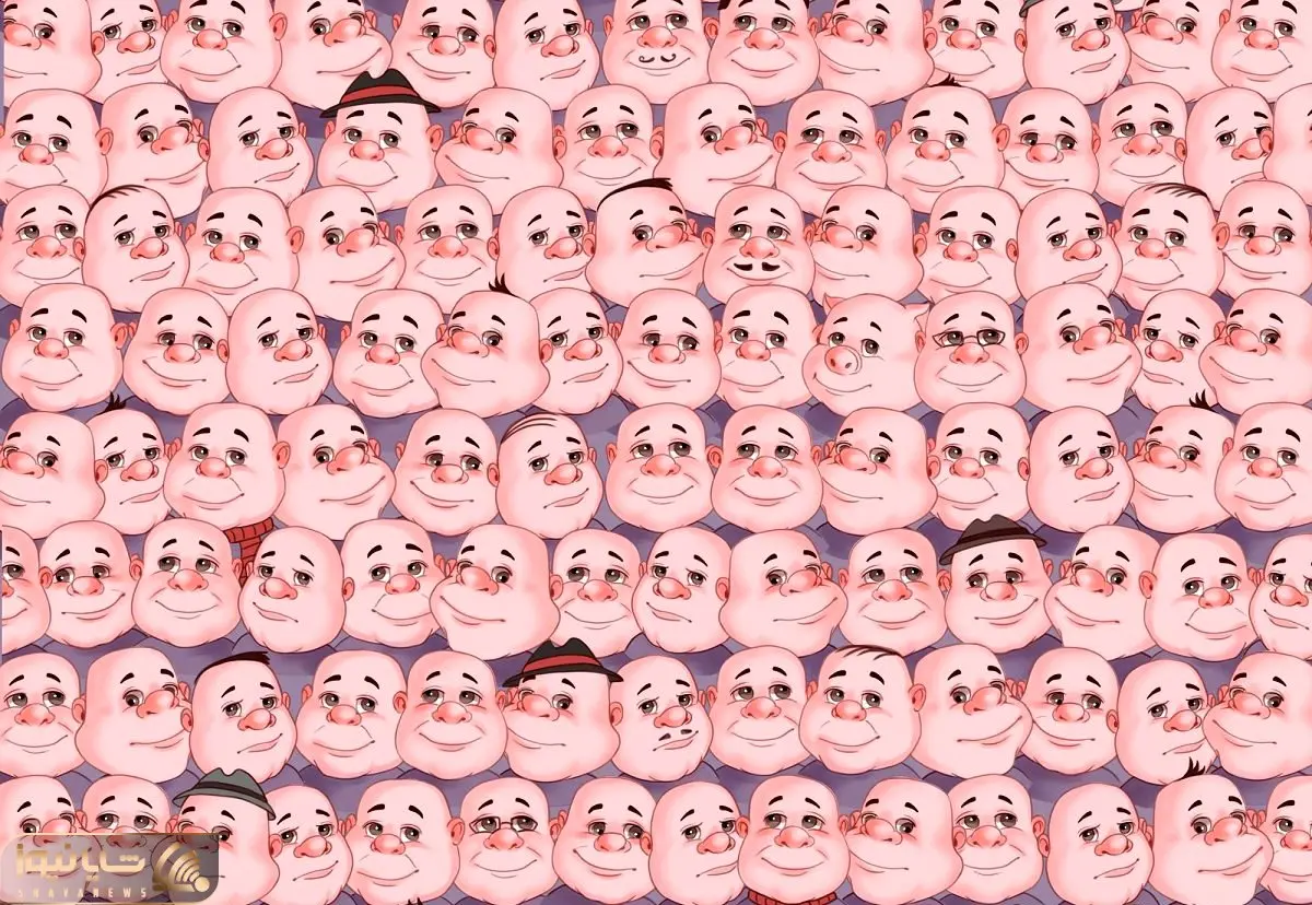 بازی فکری؛ اگه نمیخوای ذلت بکشی پیش نابغه ها بین کله های قلمبه صورتی خوک رو پیدا کن