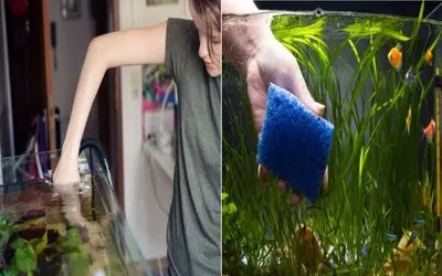 صفر تا صد تمیز کردن بی دردسر آکواریوم/ ماهی شنگول و منگول میخوای آب خونشو تمیز کن