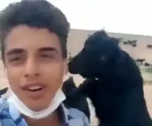 آواز محلی؛ پسر چوپان تو بیابون میخونه هرگز نمیشد باورم ببعی میکروفون ازش میگیره خوندن