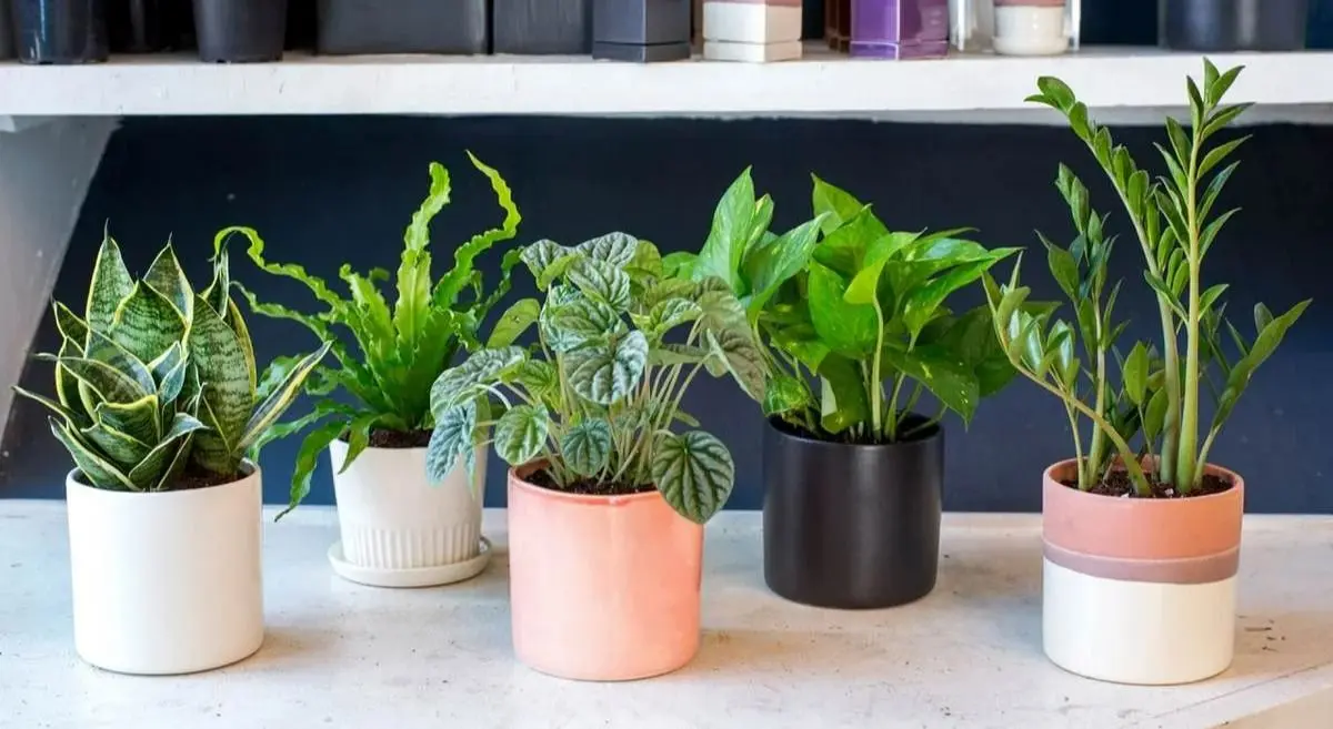 11zon_cropped-2023-11-05T162940.668