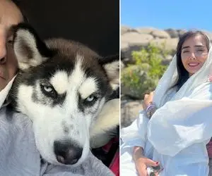 رُخ اومدنای اجق وجق "عروس فاطمه گودرزی" با حیوونا؛ خانوم با یه هاسکی اینستا رو بلعیده!