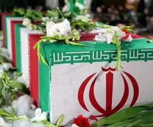 برادر سرلشکر باقری به شهادت رسید