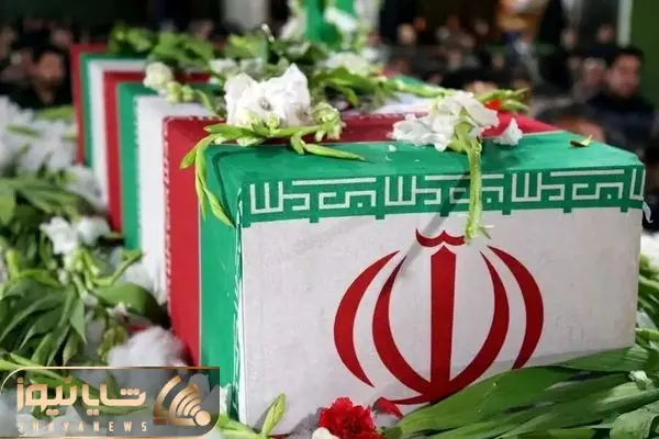 برادر سرلشکر باقری به شهادت رسید