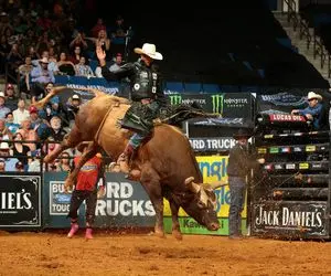 استقامت خونین؛ گاو سفاک بعد یه چرخش هلیکوپتری تو مسابقه گاوچرون پرت کرد تو دیوار