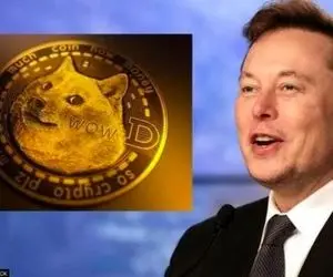 بعد انتقاد جنجالی ایلان ماسک دوج کوین افزایش یافت؟