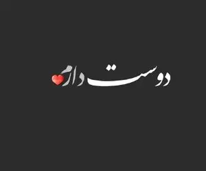 دختری که آهنگ دوست دارم را به چند زبان دنیا برای دوست پسرش خواند!