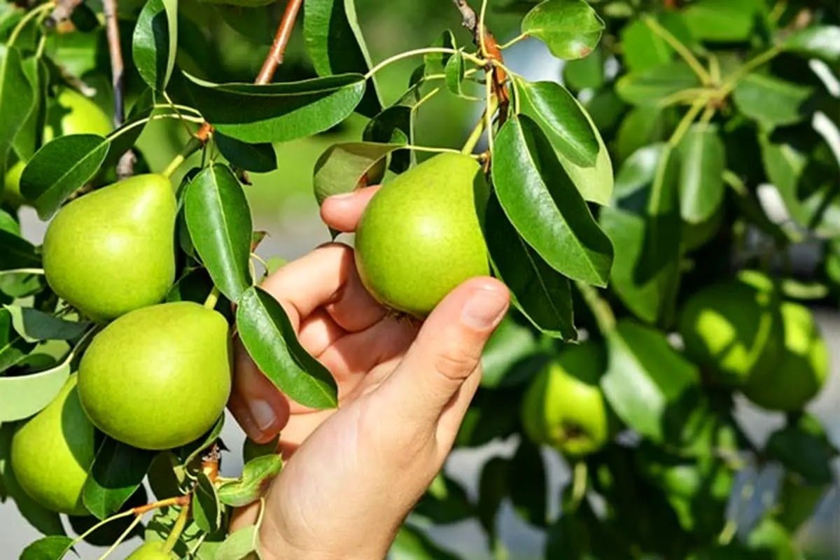 3bbfabbd3bc29209c522694c5c693512