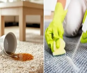 از بین بردن لکه قهوه و چای از روی فرش / ماستو اینجوری بذار روش گودبای پارتیه لکه بگیر